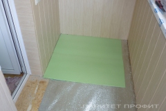 P1050502